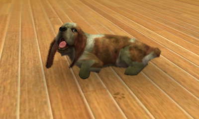 ■nintendogs + cats　～破産編～_d0027393_4521143.jpg