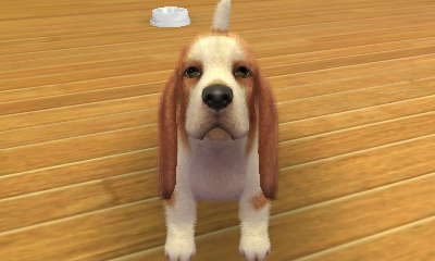 ■nintendogs + cats　～破産編～_d0027393_459495.jpg