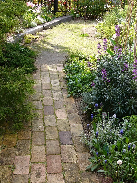 a0123003_1125155.jpg