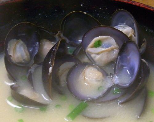 c0076705_16405695.jpg