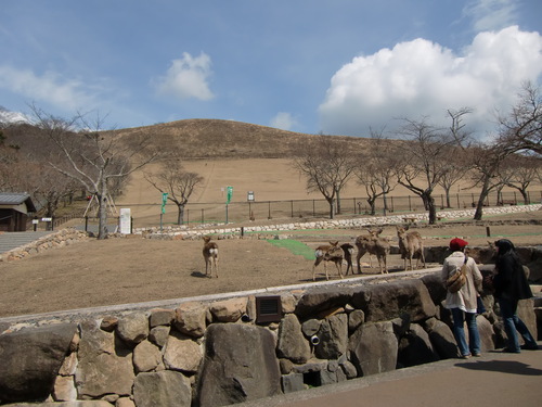 3月29日　　　水戸⇒日立⇒常陸太田⇒鹿島_f0230410_23485431.jpg