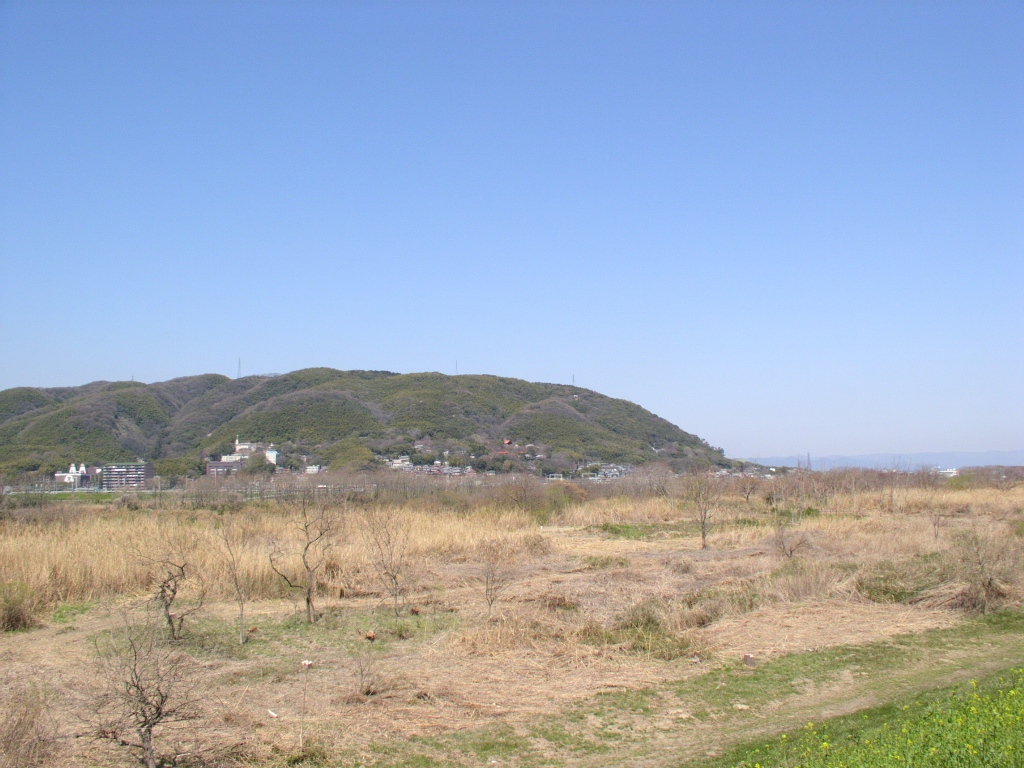 [78][78A][78B]号経路〔京阪橋本～男山車庫～京阪八幡〕_f0206711_2242637.jpg