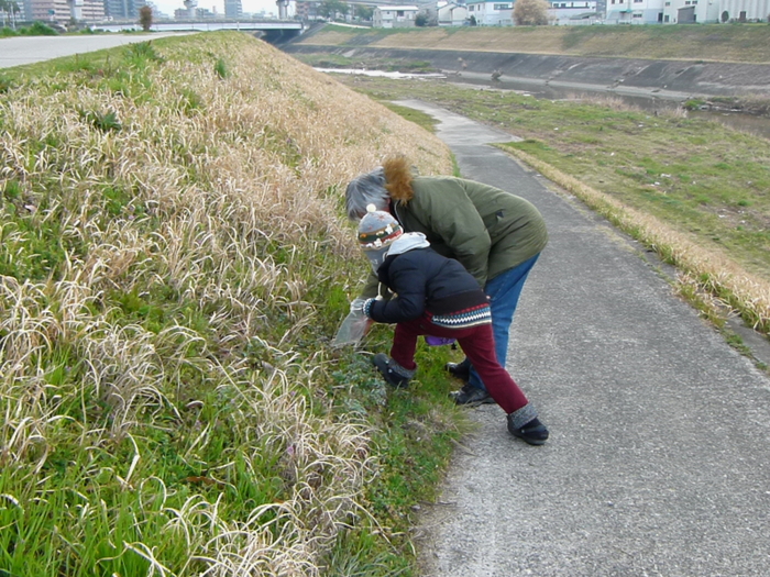 2011年3月25日　春休み　初めてのつくし摘み　in Hiroshima_d0129921_12163570.jpg