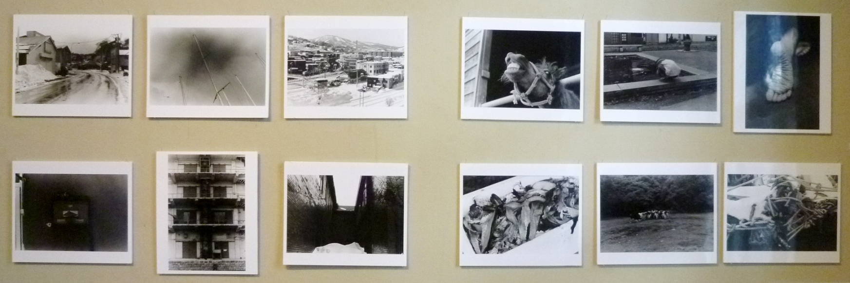 1486) 「小樽商科大学 写真部3月展」・資料館　終了 3月23日（火）～3月27日（月）_f0126829_22462432.jpg