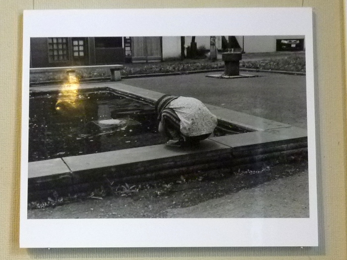 1486) 「小樽商科大学 写真部3月展」・資料館　終了 3月23日（火）～3月27日（月）_f0126829_22524266.jpg