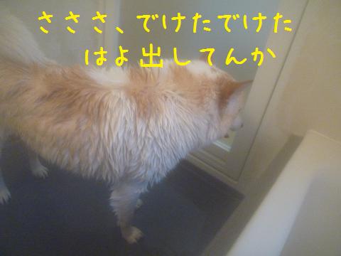 b0138430_20375181.jpg