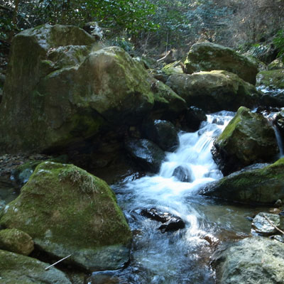 c0182231_19102875.jpg