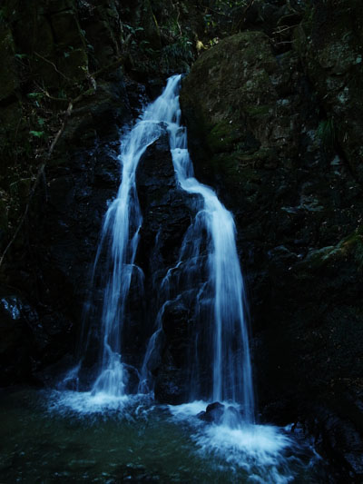 c0182231_197584.jpg