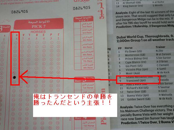 ドバイワールドカップ観戦記その2_f0228031_1249672.jpg