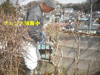 f0031037_20151214.jpg