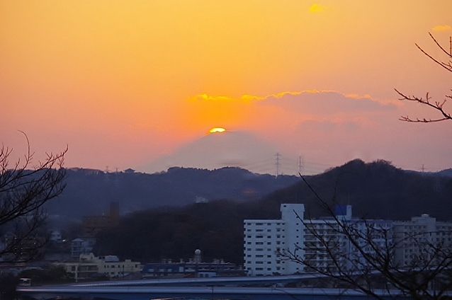 d0218238_2027263.jpg