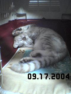 e0179943_0145294.jpg