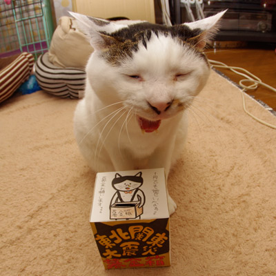 ヨウカンさん、やっぱり、あなたは素晴らしい!_a0028451_1302910.jpg