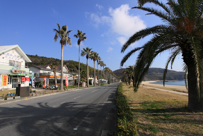 片添ヶ浜海浜公園オートキャンプ場　【山口県】_d0220663_22494053.jpg