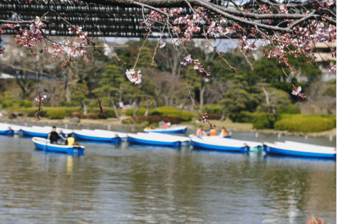 b0192470_20374834.gif