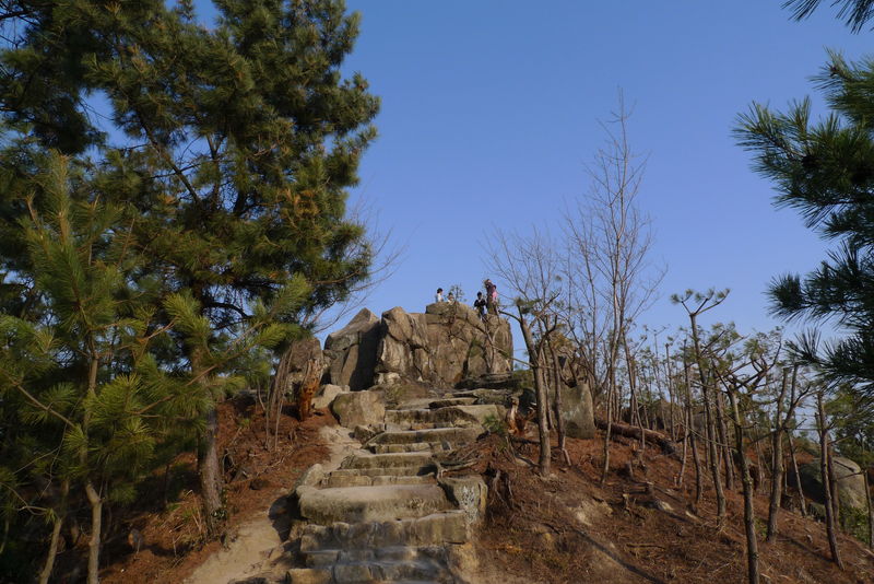 c0177576_17373051.jpg