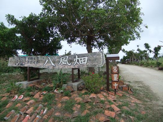 冬の沖縄おさんぽ旅2011 -2日目 斎場御嶽&八風畑-_b0208577_23152384.jpg