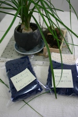 c0057781_22474498.jpg