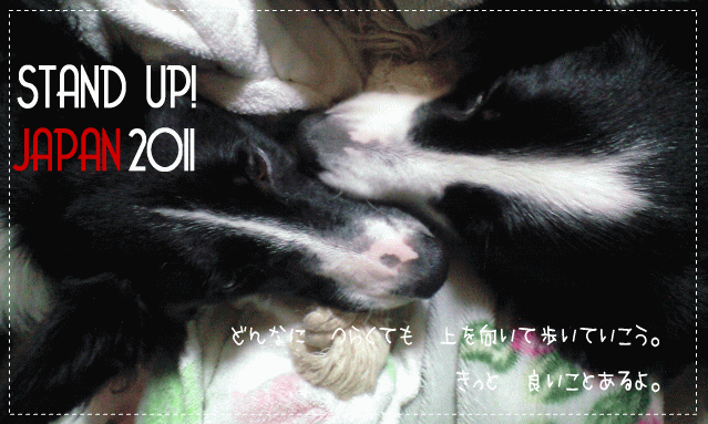 e0132688_21185538.gif