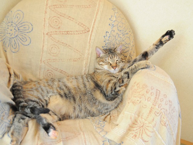 伸びてます!_a0126590_21333743.jpg