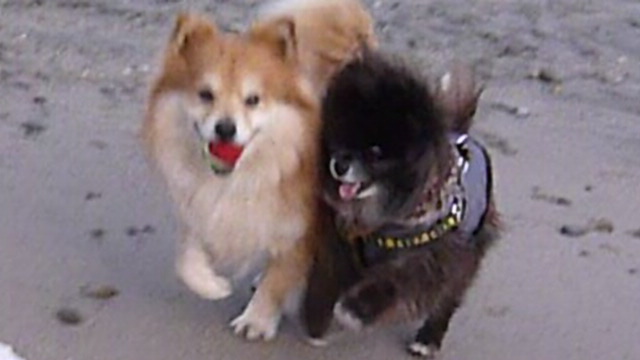 c0128896_0103121.jpg