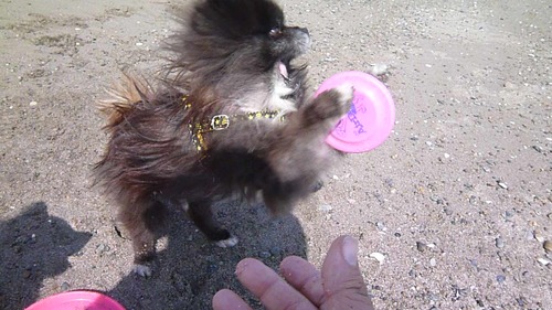 c0128896_0133661.jpg