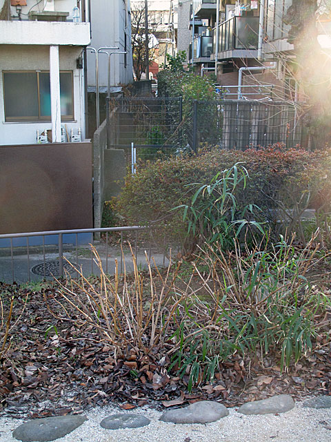 c0163001_22141115.jpg