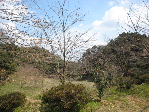 e0216602_1040218.jpg
