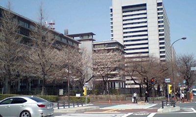 桜チェック、そして和田倉門と半旗_d0054704_0395892.jpg
