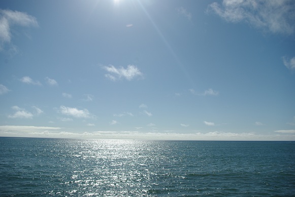 f0038904_15231295.jpg