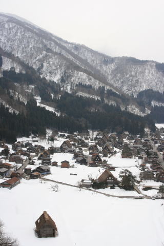 オールドローズのブーケ&旅行のこと_a0136507_19265640.jpg