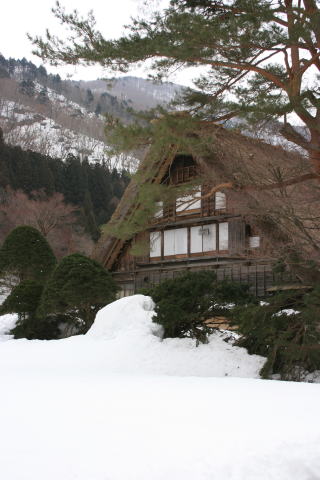 オールドローズのブーケ&旅行のこと_a0136507_19275540.jpg