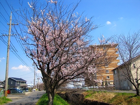 b0051109_10483731.jpg