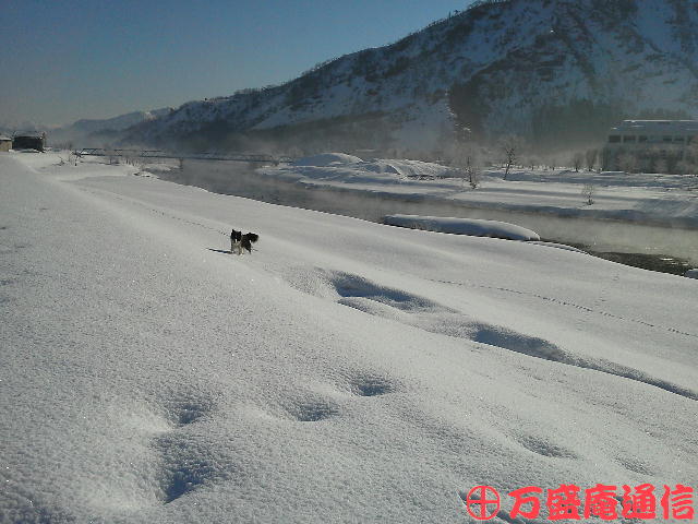 b0172209_858226.jpg