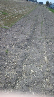f0054809_16275871.jpg