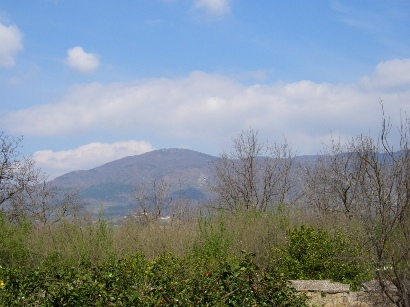 f0133814_5181021.jpg