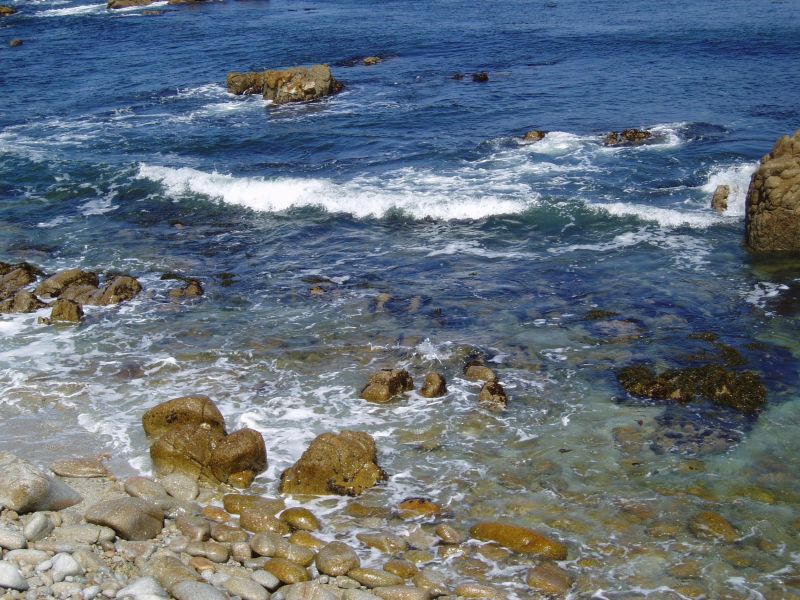 海を汚してスミマセン_c0025115_1936510.jpg