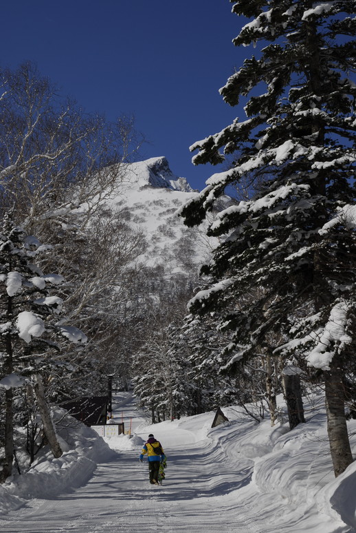 2011年3月 春、深雪の大雪山に抱かれる_c0219616_1854219.jpg