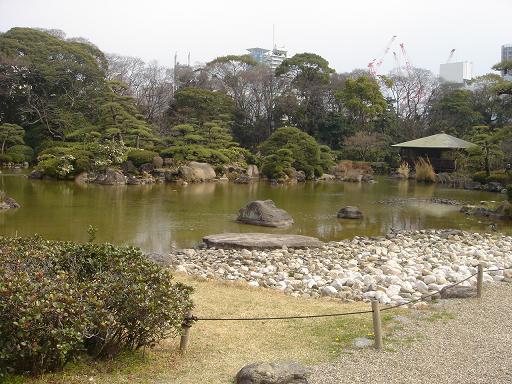 f0000521_6343351.jpg