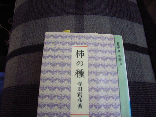 ひとつぶと思いつつ、止まらない_f0108825_9481757.jpg