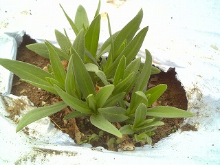f0032130_16215435.jpg