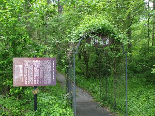 e0202031_1654356.jpg