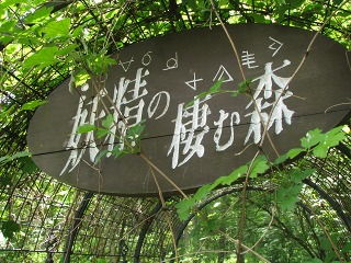 e0202031_166161.jpg