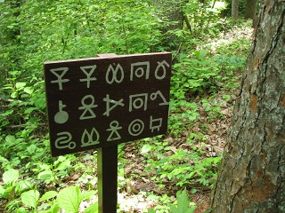 e0202031_1665712.jpg
