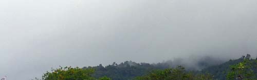 b0063436_12162688.jpg