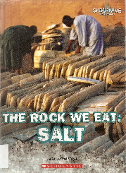 The rock we eat : SALT_d0168540_8165064.jpg