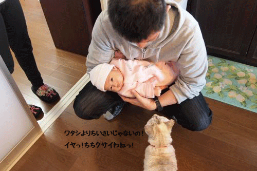 f0116546_22501761.gif