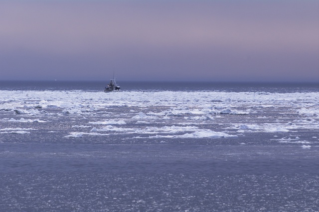 流氷に春を思う_b0133447_1910381.jpg