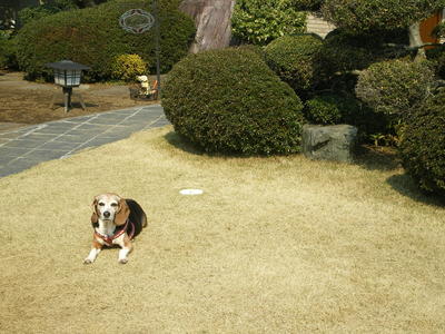 c0134850_22245888.jpg
