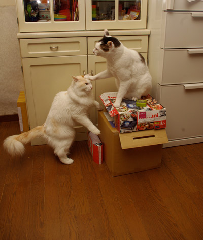 ヨウカン対おかき 箱上の陣取り合戦!_a0028451_196551.jpg